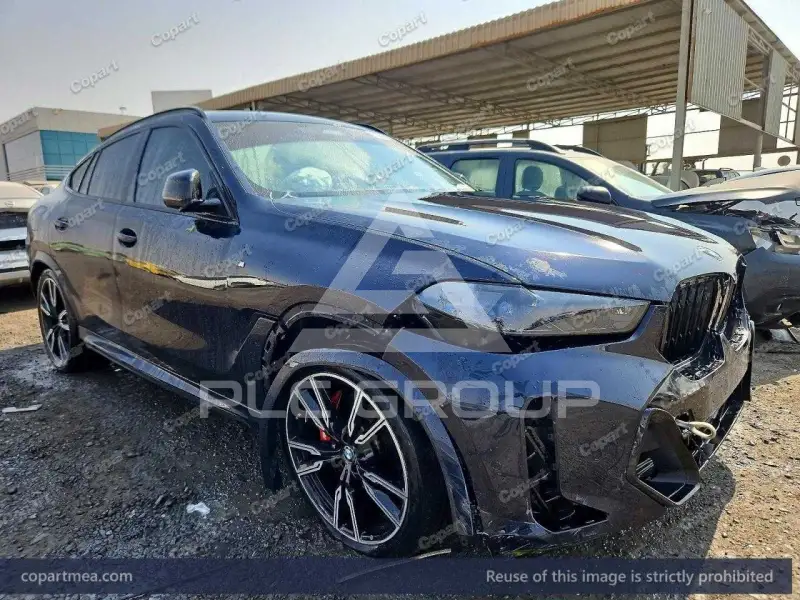 2024 BMW X6