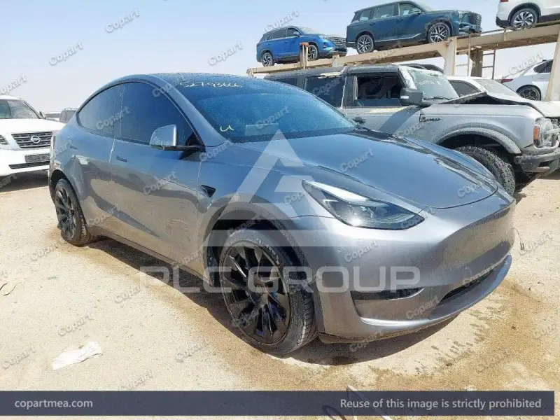 2024 Tesla Model Y