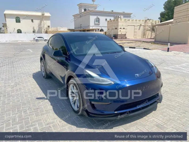 2024 Tesla Model Y