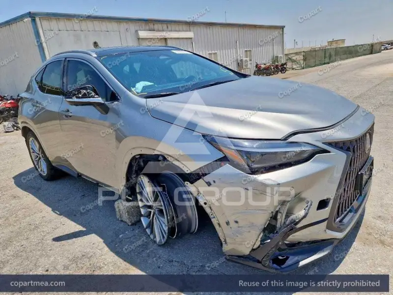 2024 Lexus NX350H