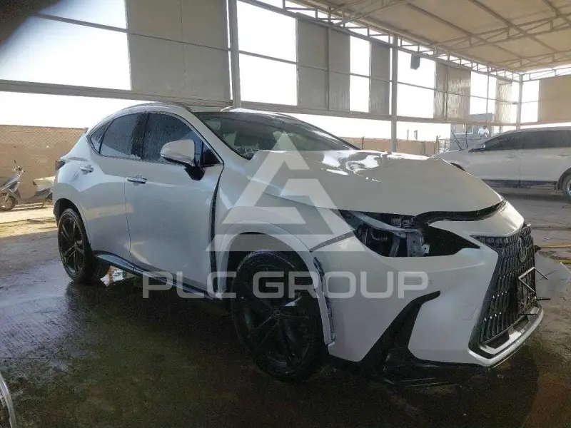 2024 Lexus NX250