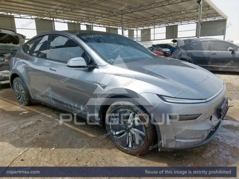 2025 Tesla Model Y