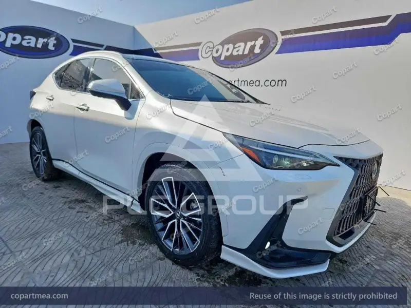 2025 Lexus NX250