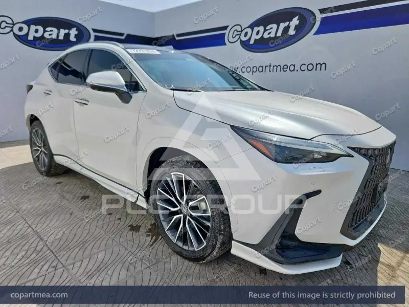 2025 Lexus NX250