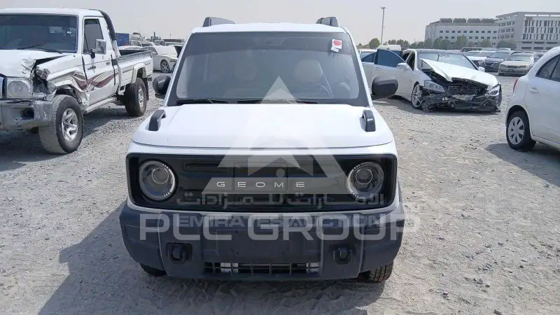 2025 Geely 