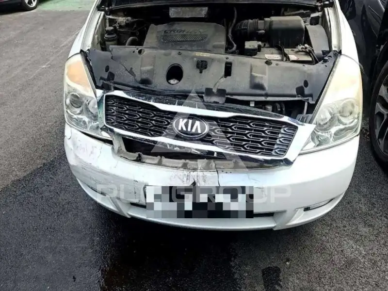 2014 KIA Carnival