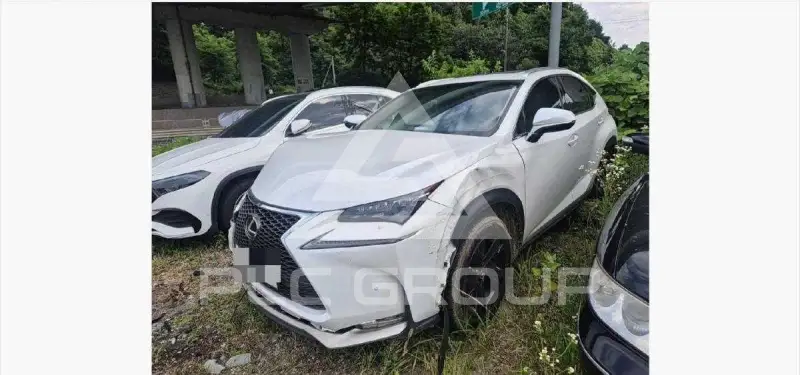 2015 Lexus NX300H