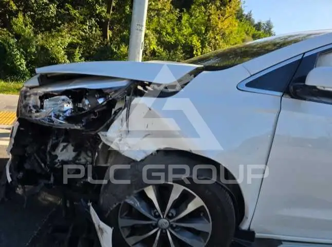 2017 KIA Carnival
