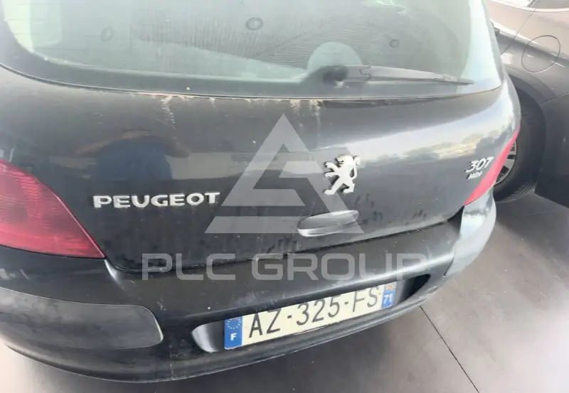 2002 Peugeot 307