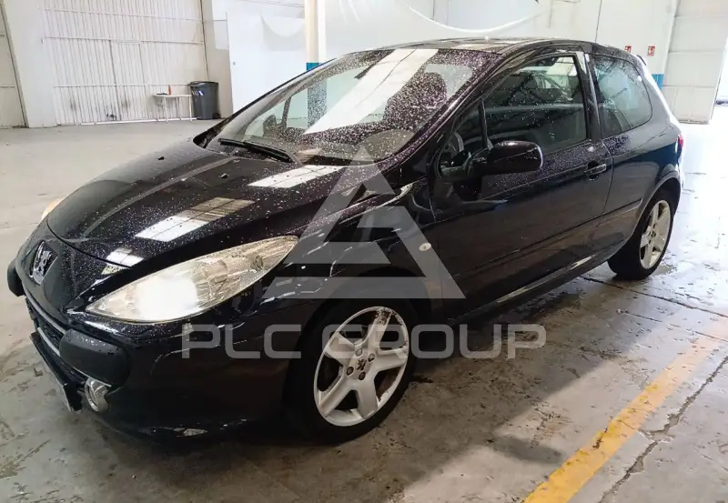 2006 Peugeot 307