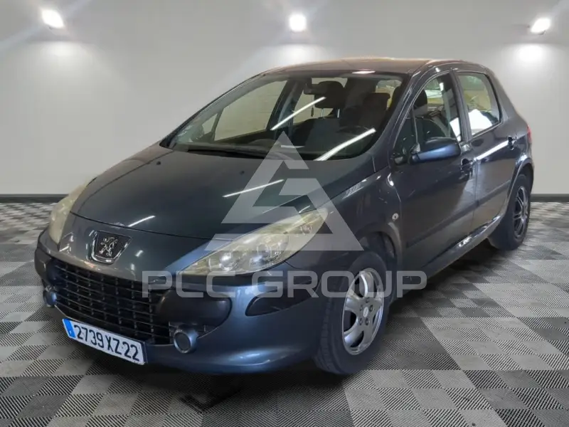 2006 Peugeot 307