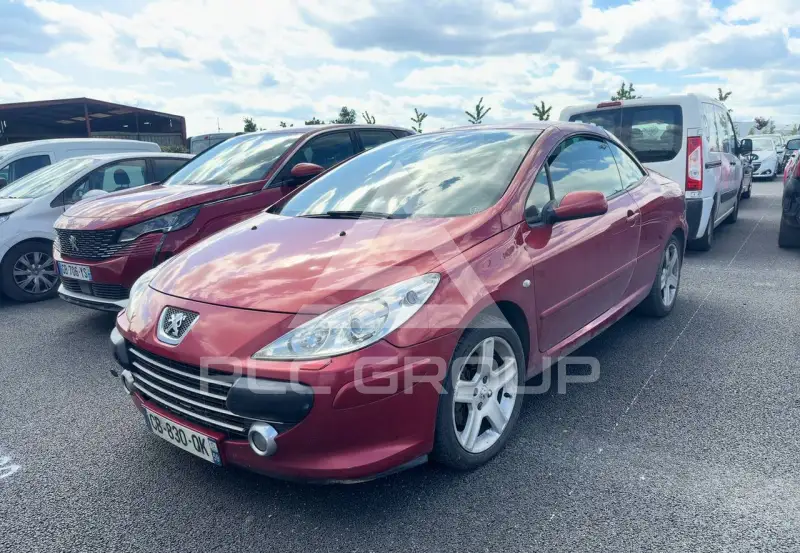 2006 Peugeot 307