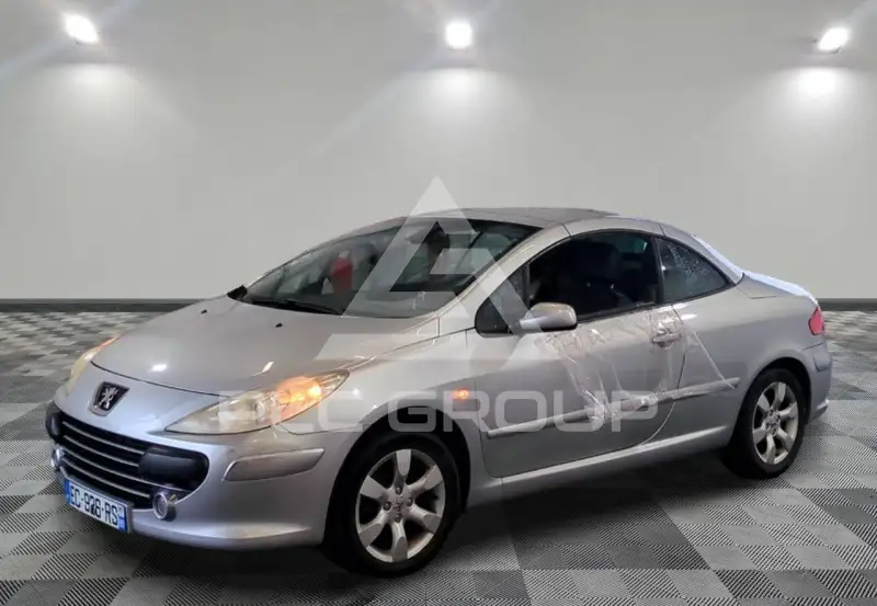 2007 Peugeot 307