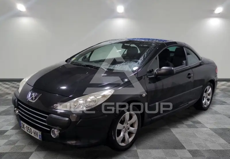 2008 Peugeot 307