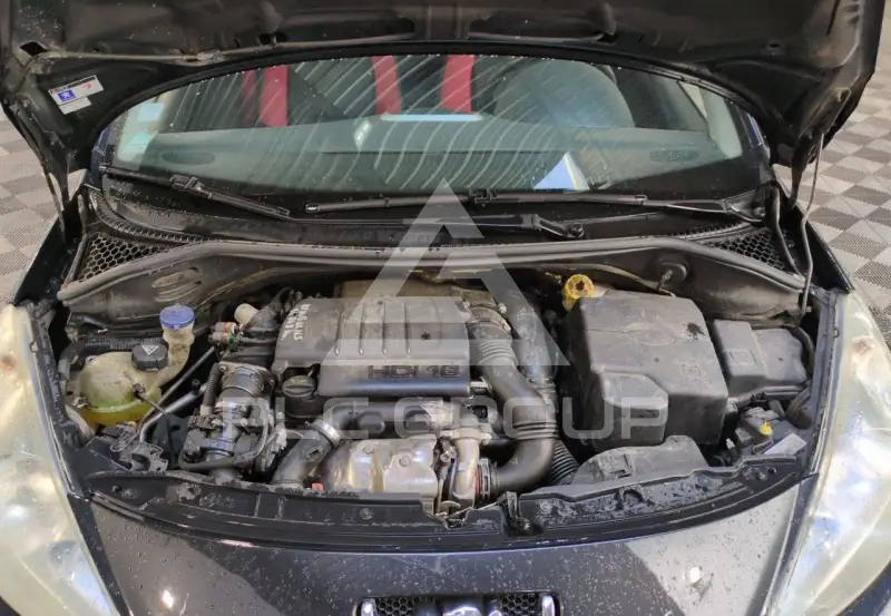 2009 Peugeot 207