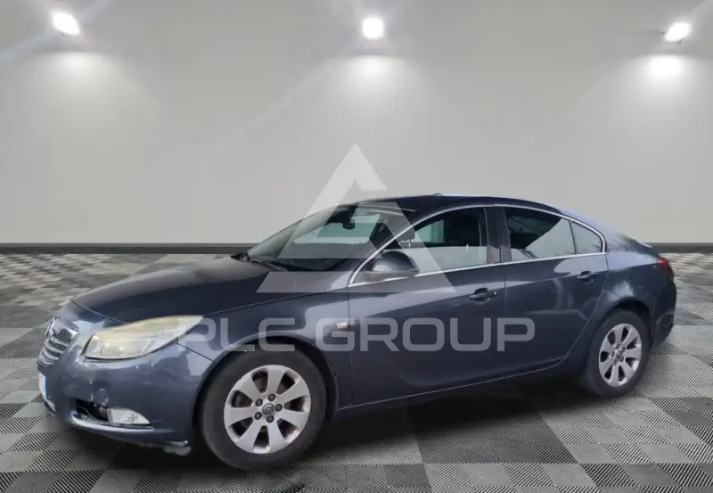 2010 Opel Insignia
