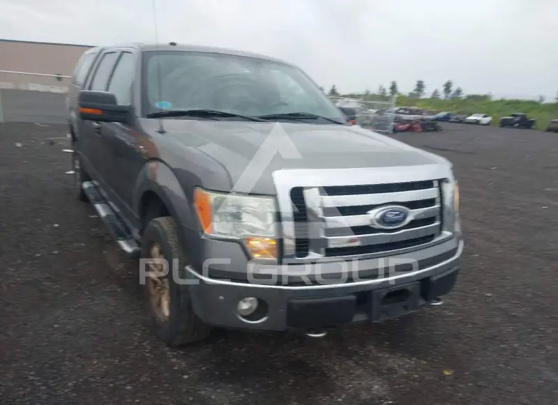 2009 Ford F-150 photo