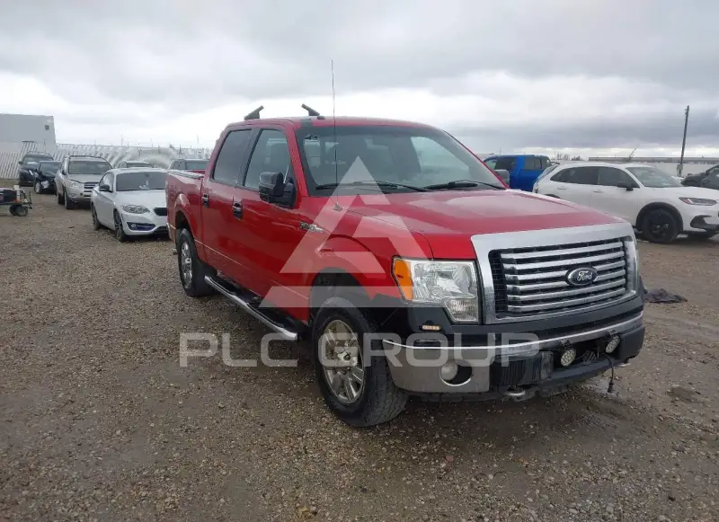 2010 Ford F-150 photo