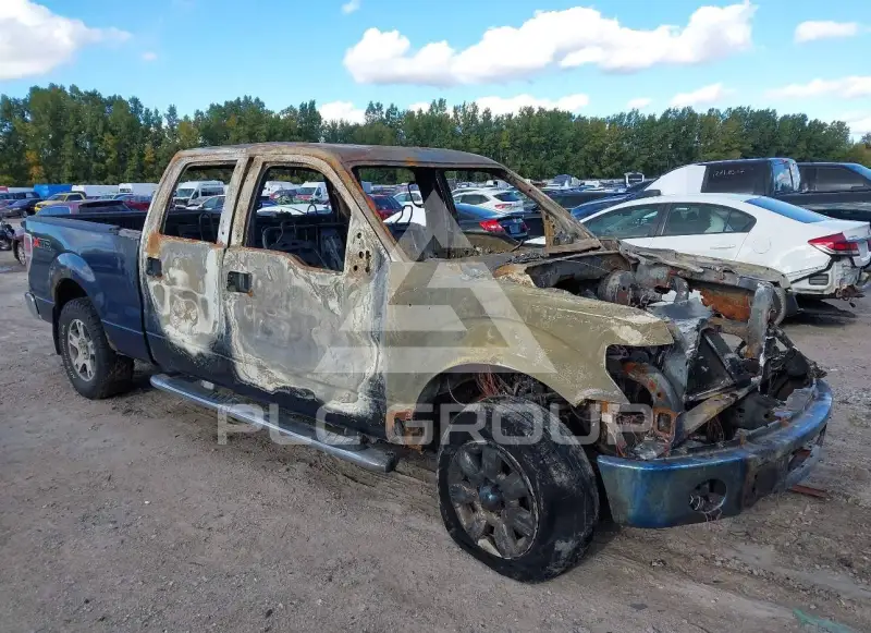 2010 Ford F-150 photo