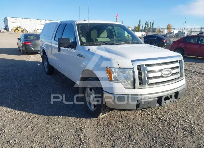 2010 Ford F-150 photo