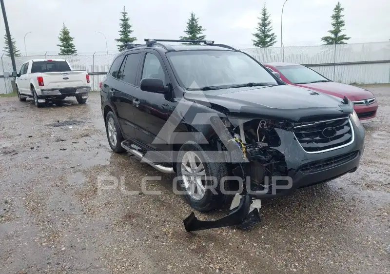 2010 Hyundai Santa FE фото