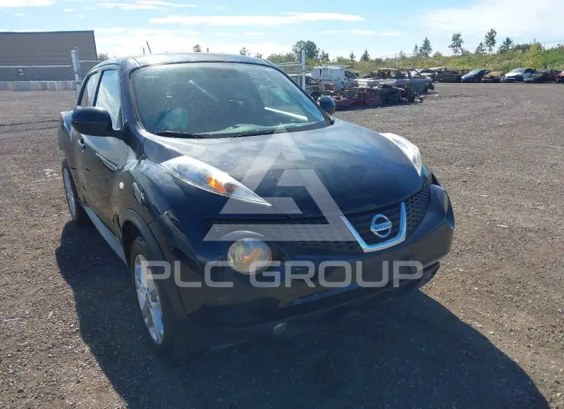 2011 Nissan Juke photo