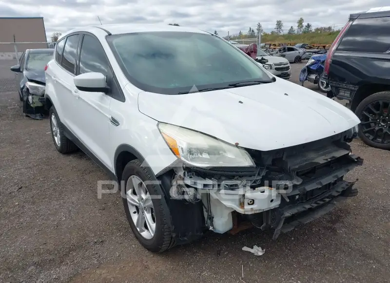 2013 Ford ESCAPE photo