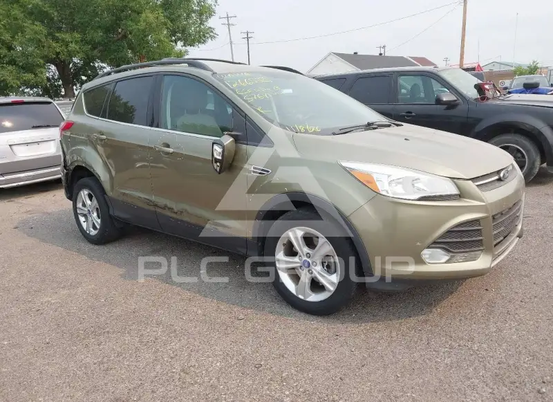 2013 Ford ESCAPE photo