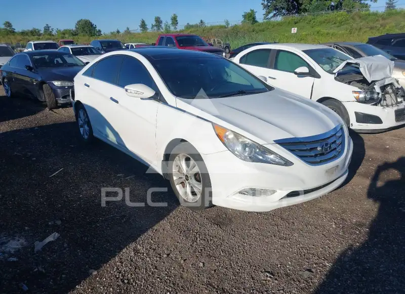 2013 Hyundai Sonata фото