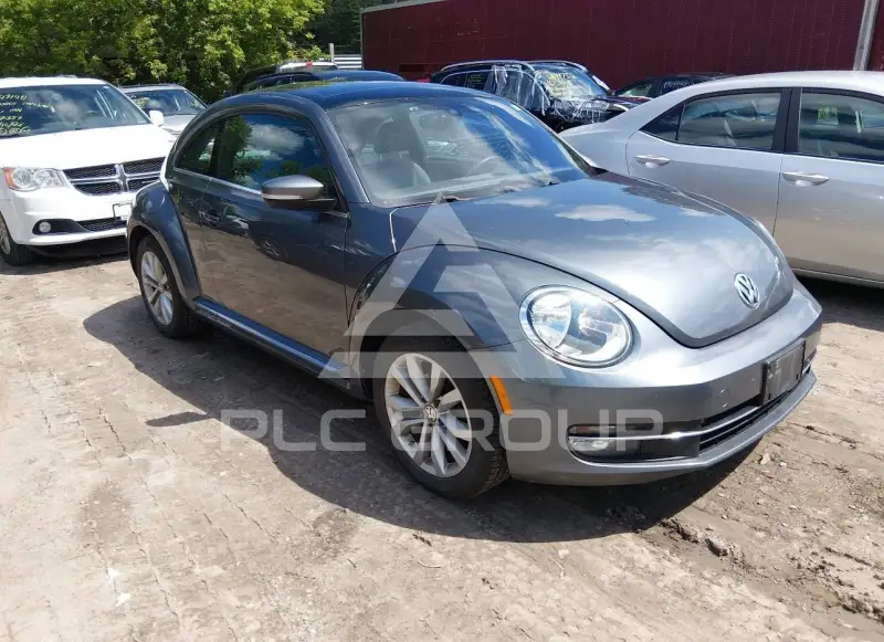 2015 Volkswagen BEETLE фото