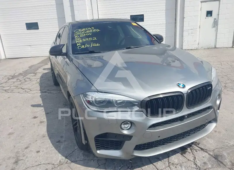 2016 BMW X6 фото