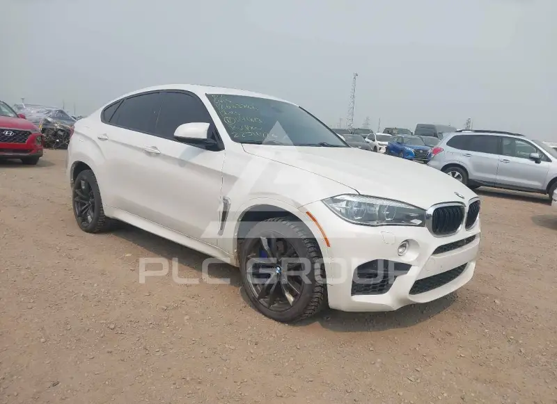 2017 BMW X6 photo