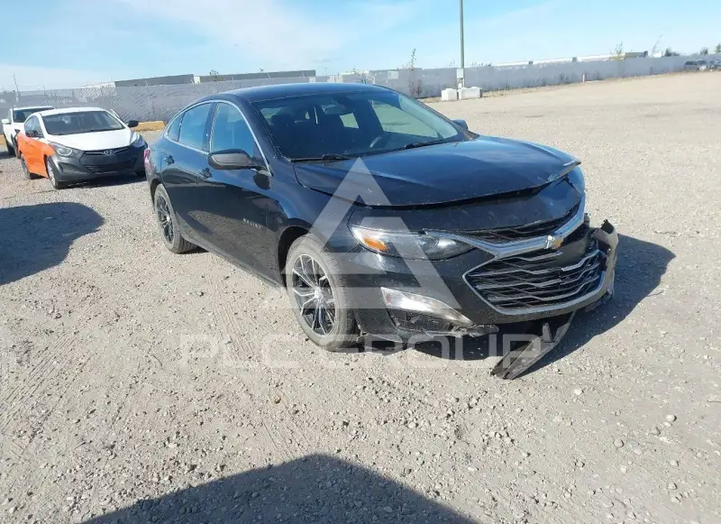 2019 Chevrolet Malibu photo