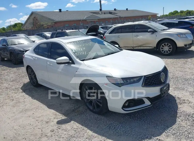2019 Acura TLX photo