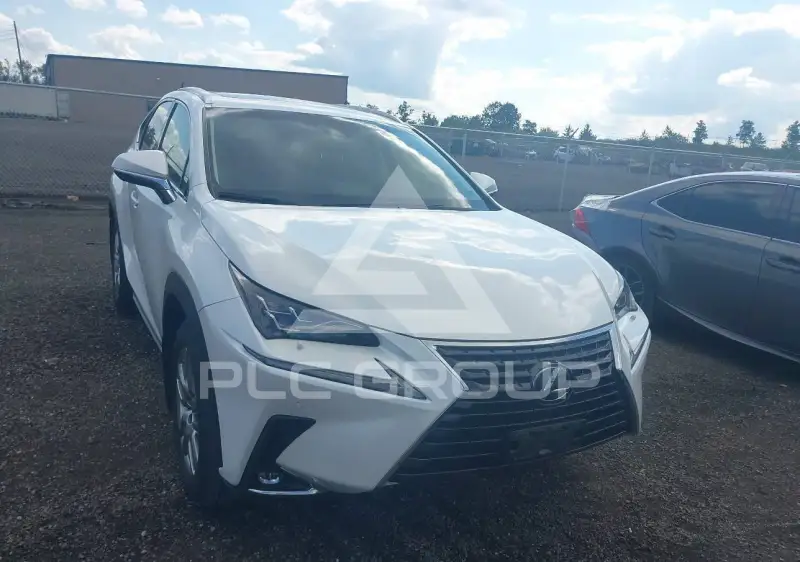 2019 Lexus NX300 фото