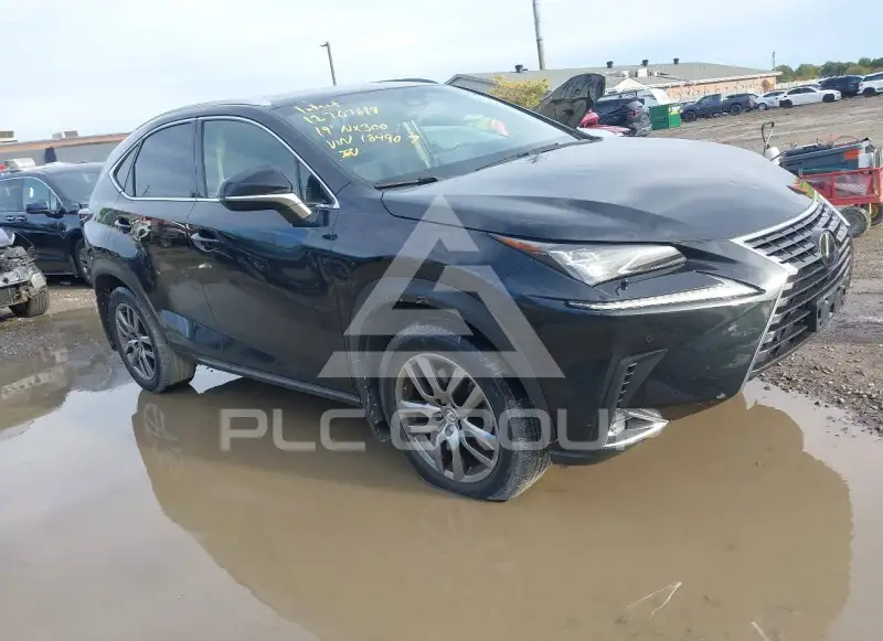 2019 Lexus NX300 фото