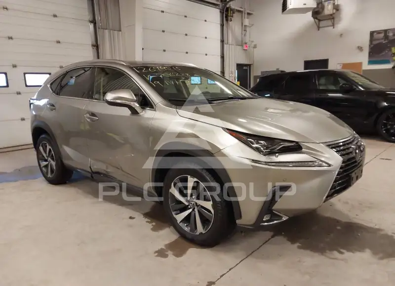 2019 Lexus NX300 фото