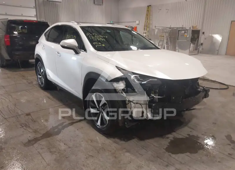 2019 Lexus NX300 фото