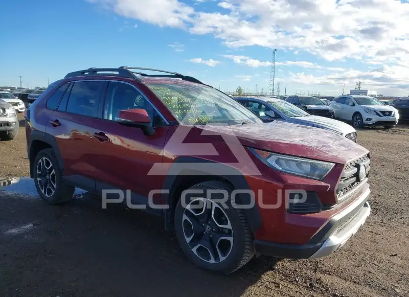 2019 Toyota RAV4 photo