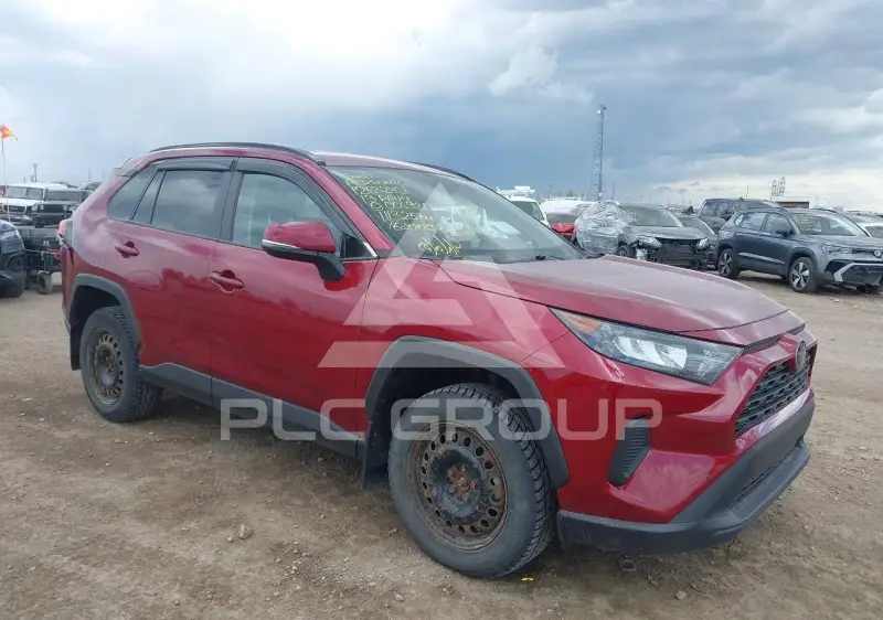 2019 Toyota RAV4 photo
