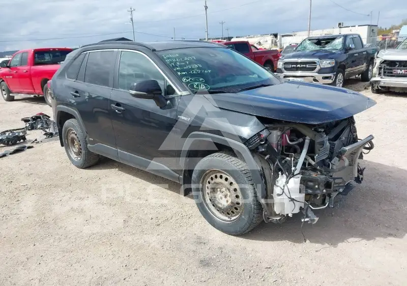 2019 Toyota RAV4 фото