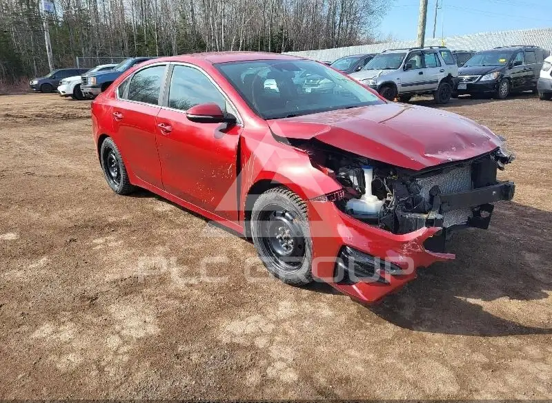 2019 KIA Forte photo