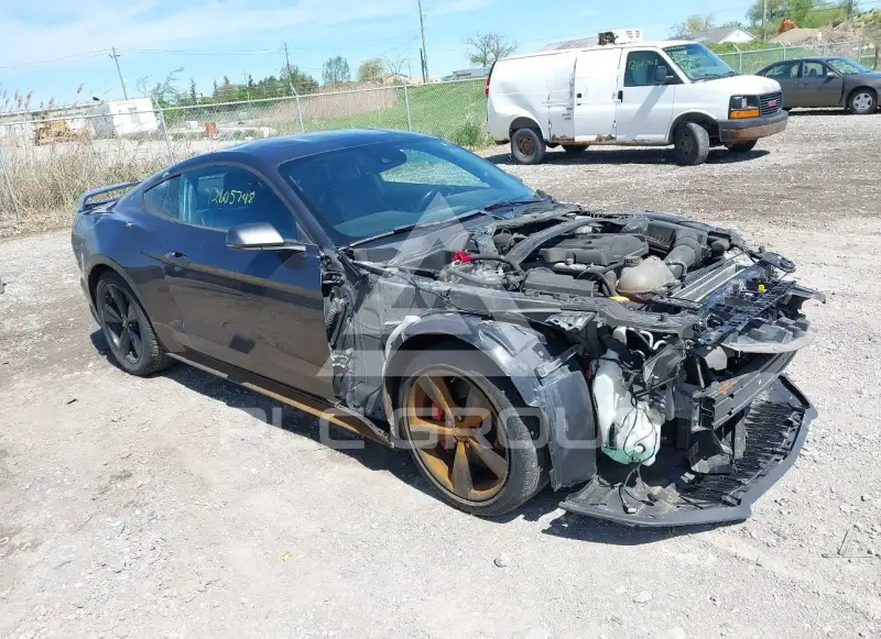 2019 Ford MUSTANG photo