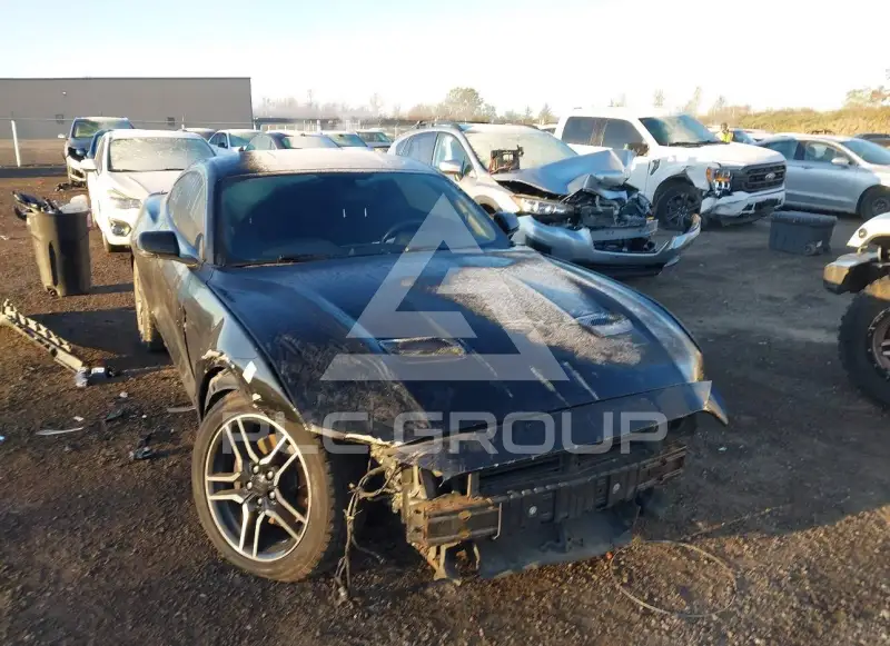 2019 Ford MUSTANG photo