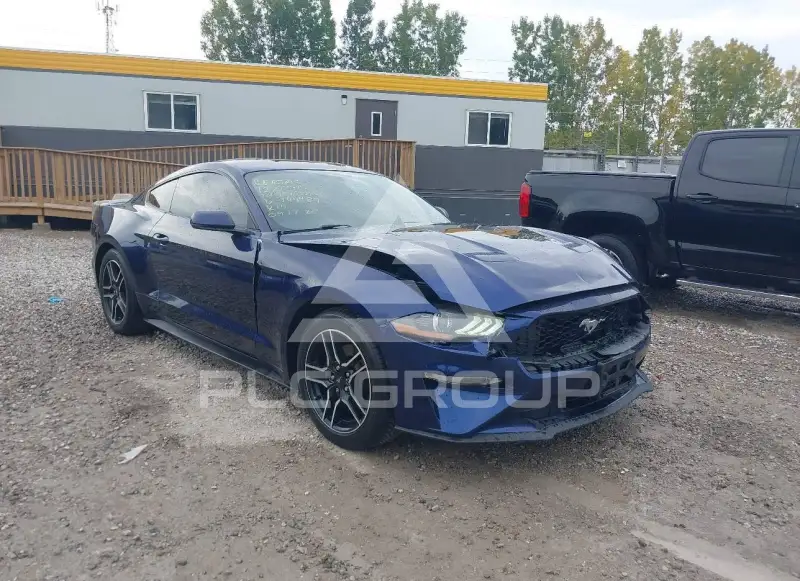 2019 Ford MUSTANG photo