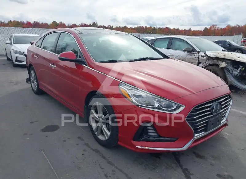 2019 Hyundai Sonata фото
