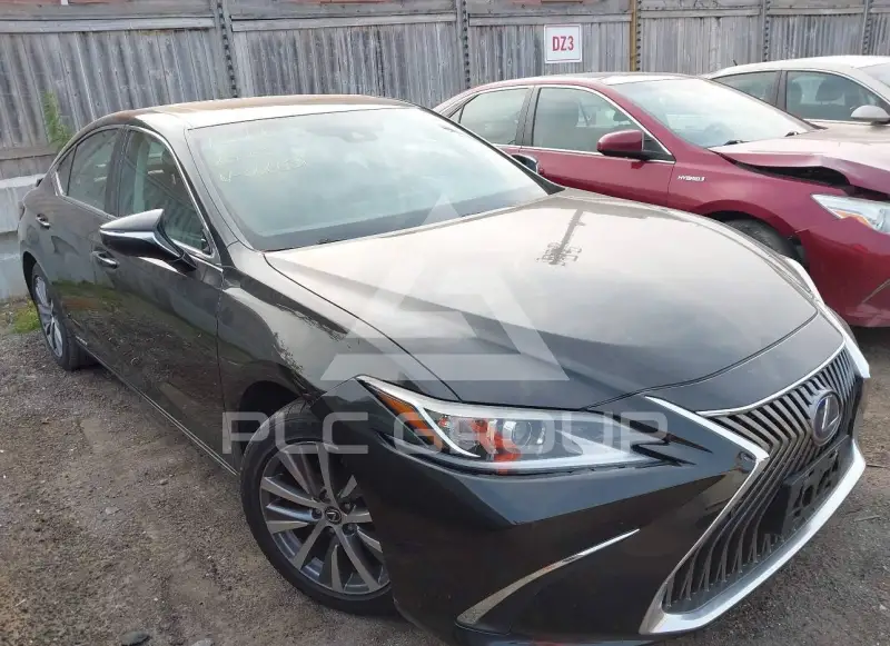 2020 Lexus ES photo