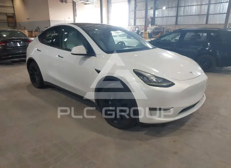 2021 Tesla Model Y photo