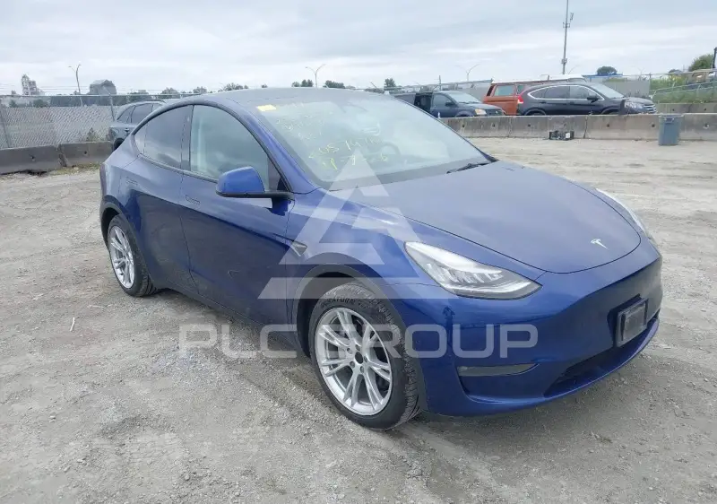 2021 Tesla Model Y photo