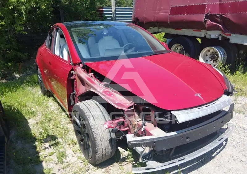 2022 Tesla Model Y photo